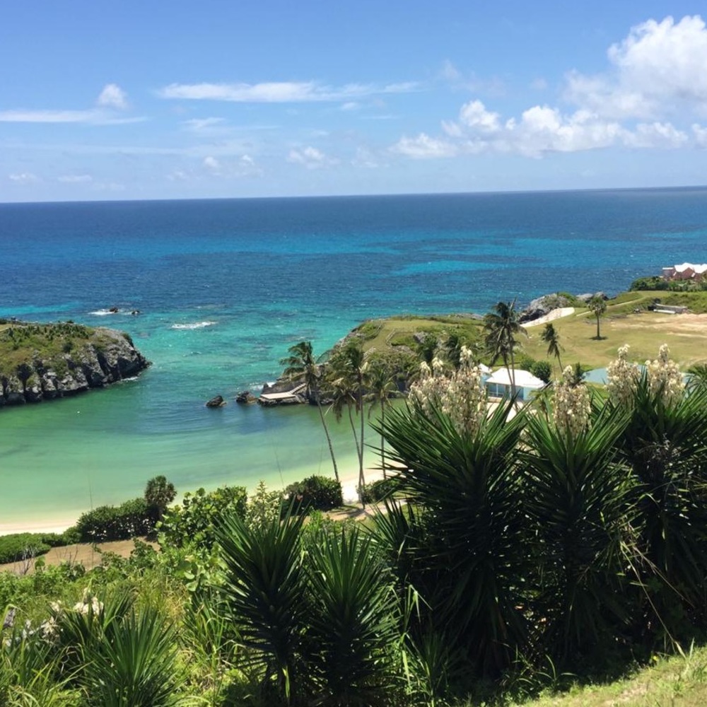 Meet your Posher, Yudie